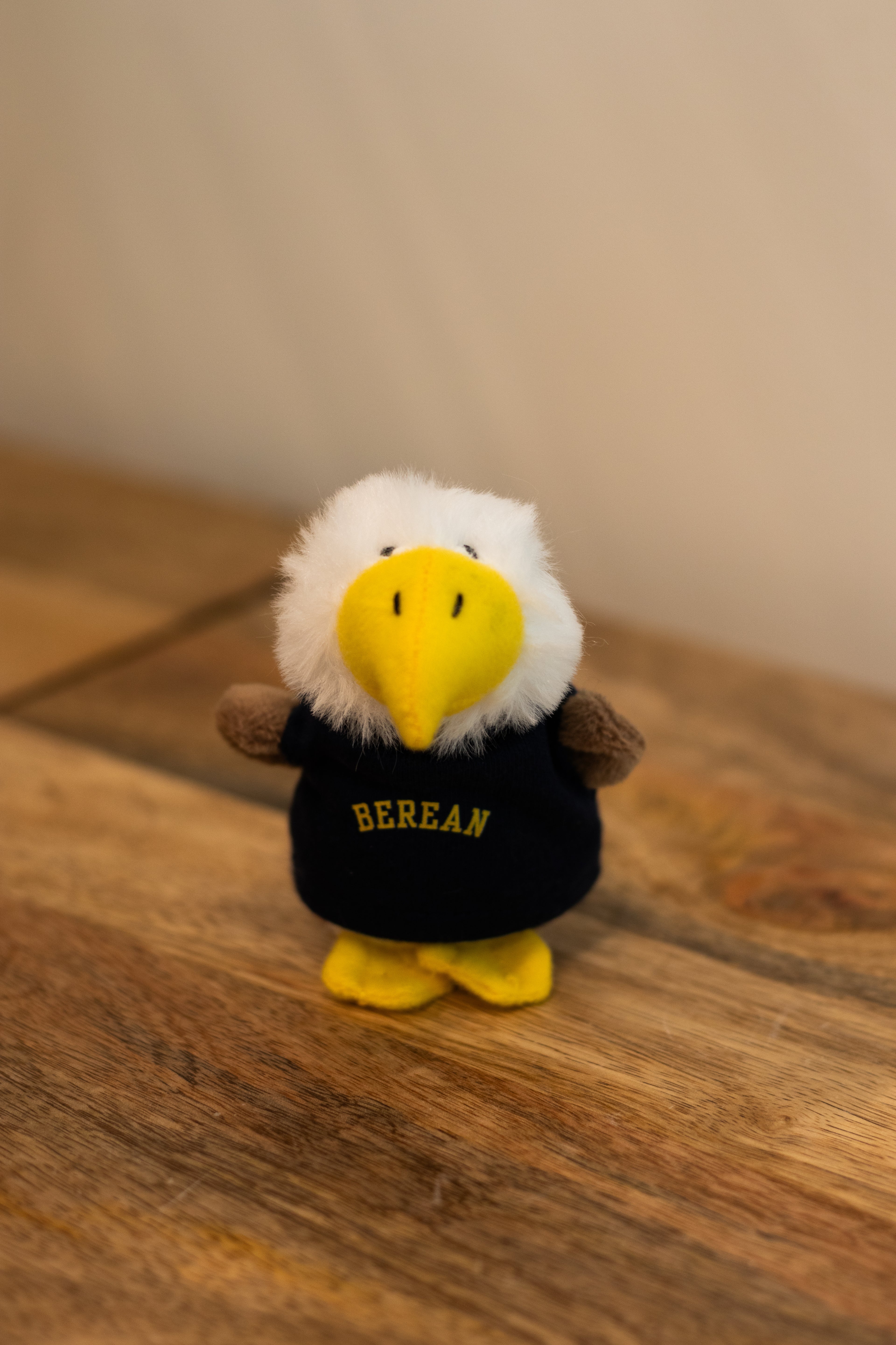 Eagle Plushie Key Chain
