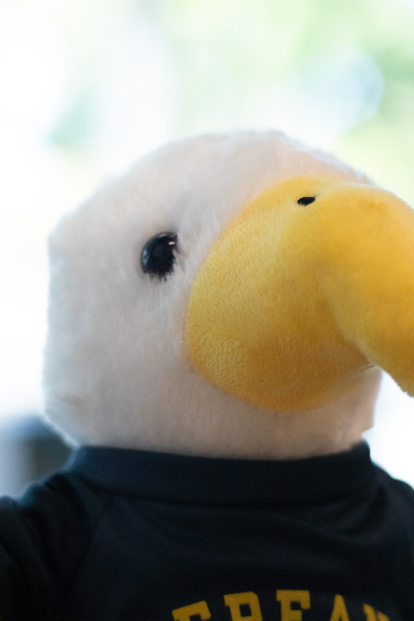 Eagle Stuffed Animal